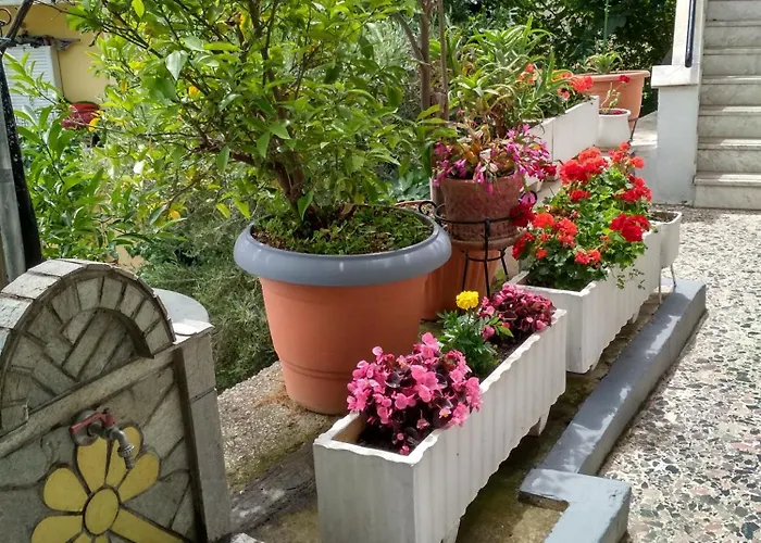 Vasilis Garden House