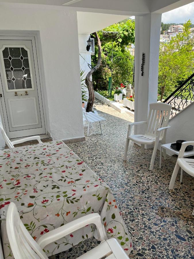 Vasilis Garden House *
