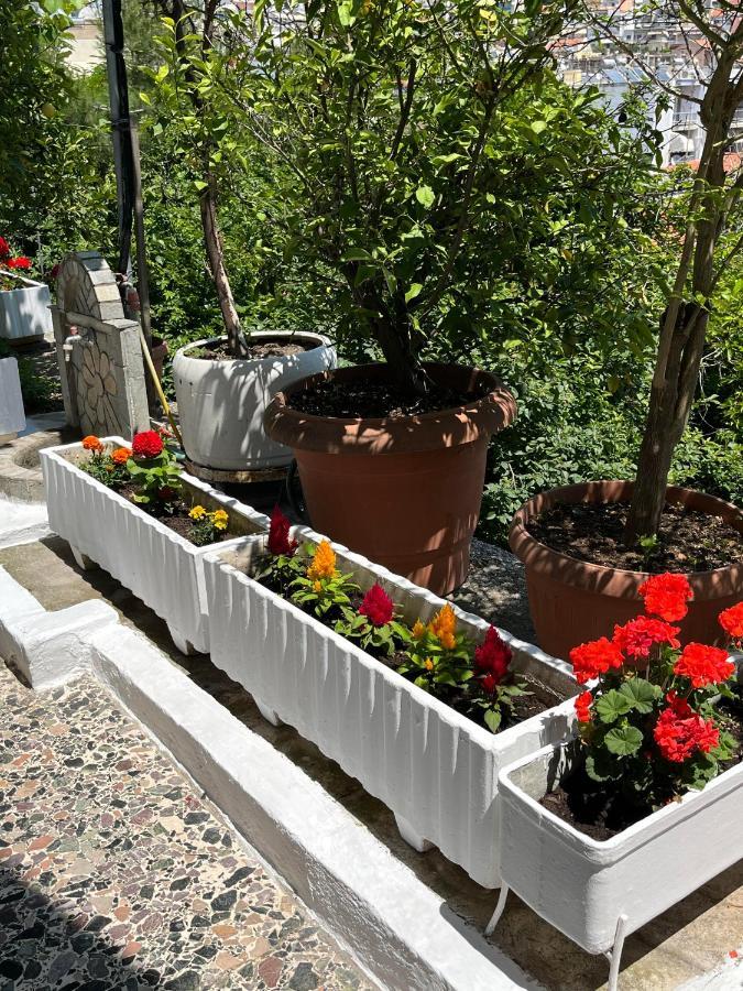 Vasilis Garden House Kavala