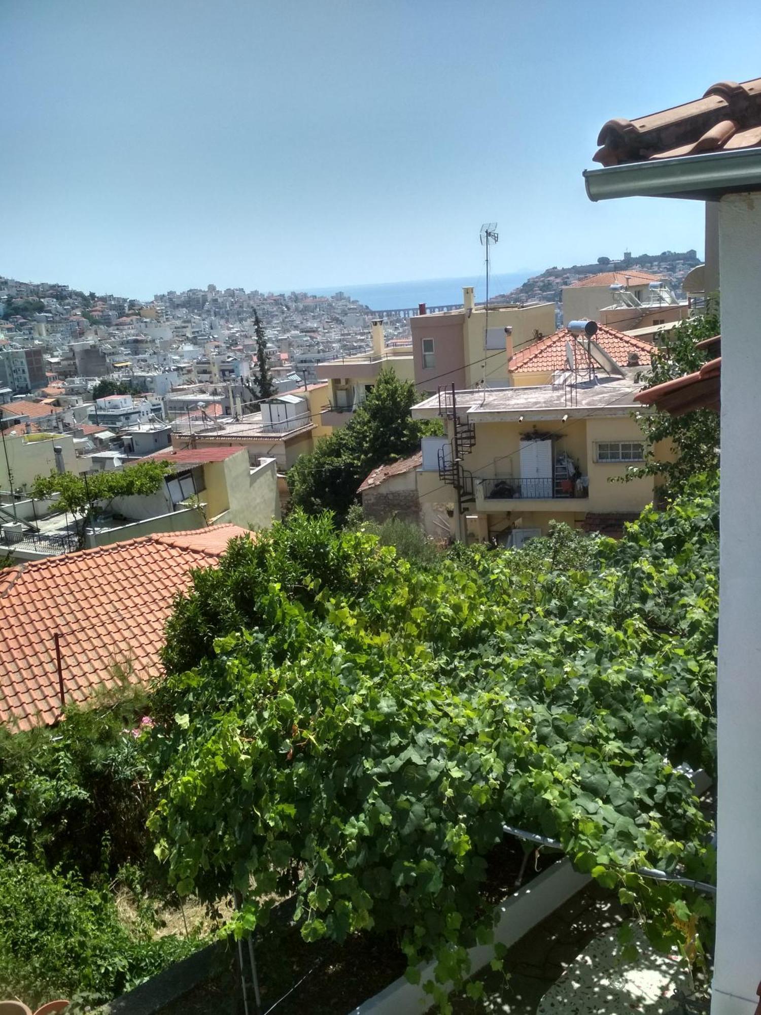 Vasilis Garden House