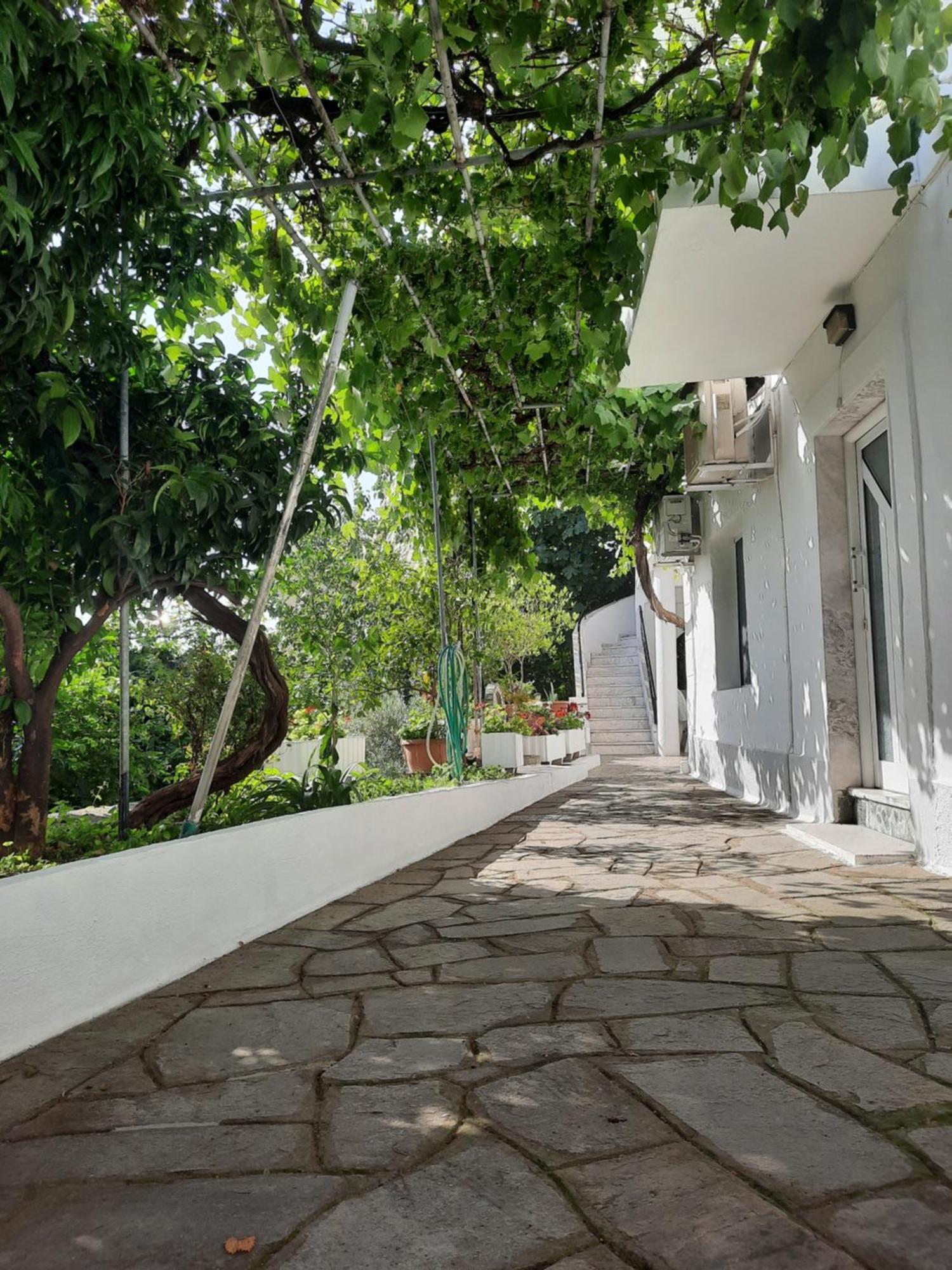 Vasilis Garden House Holiday home *