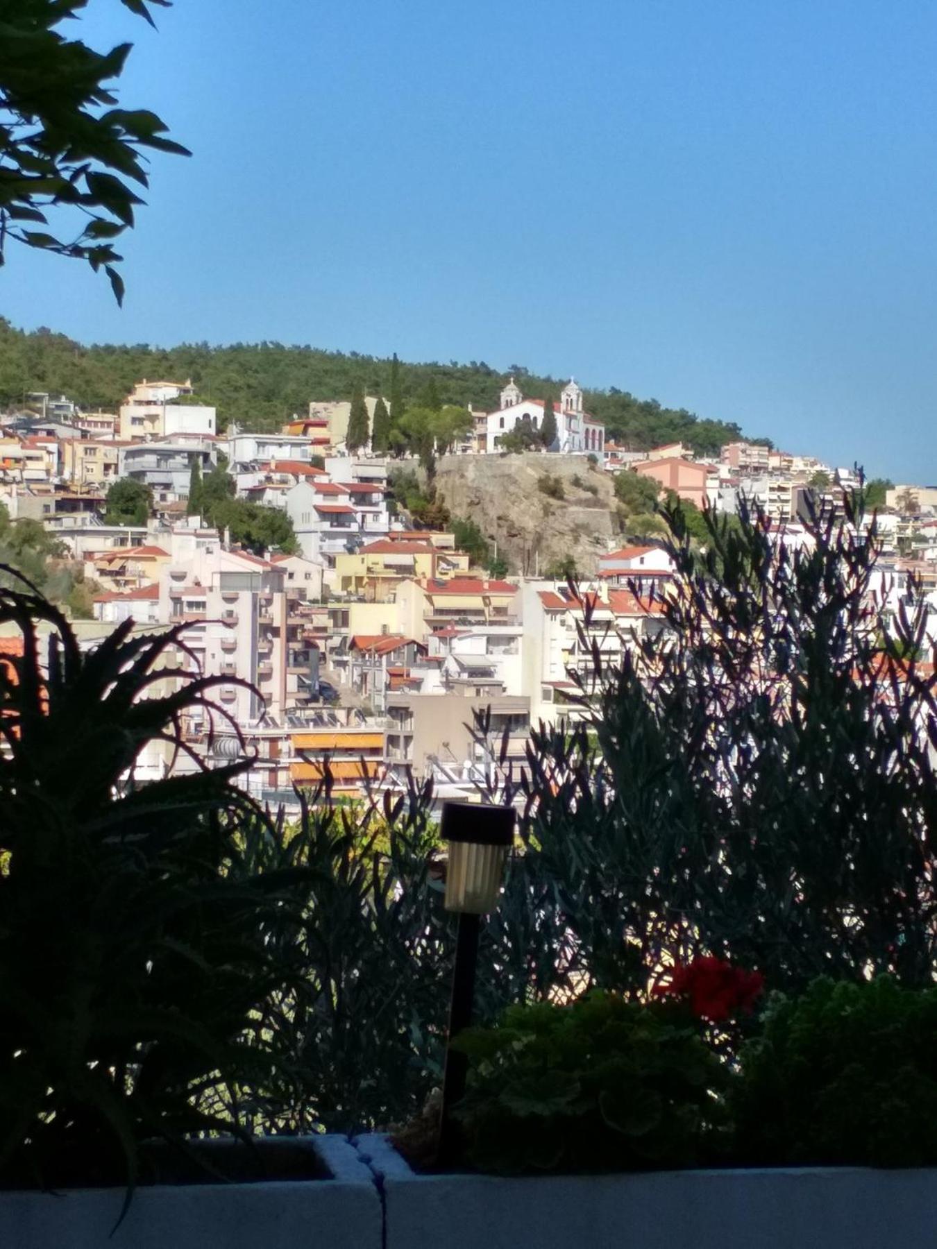 Vasilis Garden House