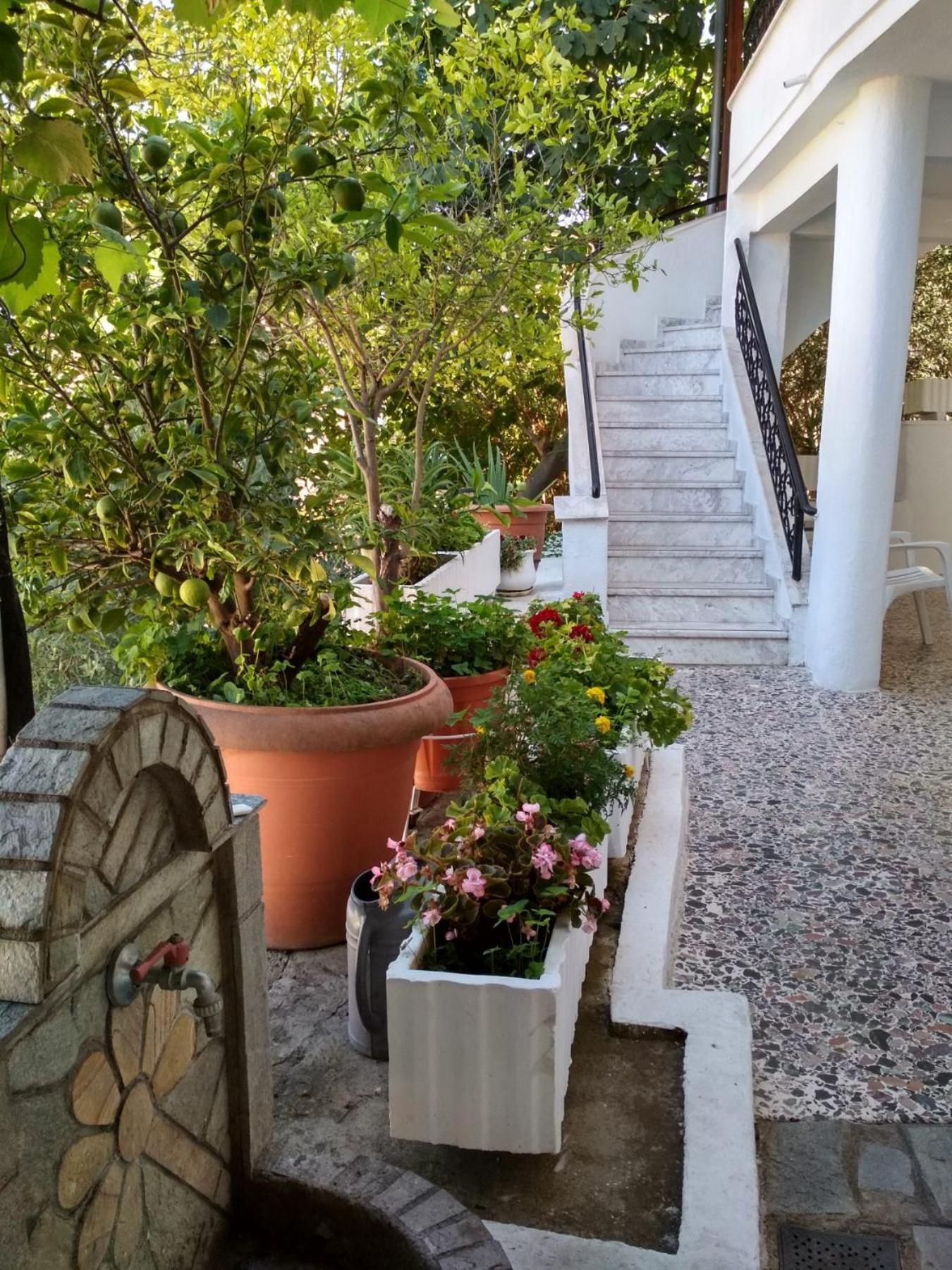 Vasilis Garden House Holiday home *